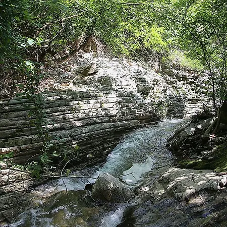 Oasi 호스텔